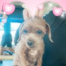 전진만 챔피언 복싱클럽 이미지