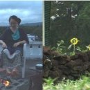 날마다 소풍 이미지