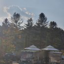 가든파크 | 가족, 연인과 가기 좋은 가평 리조트 더스테이힐링파크 가든C타입 리얼 후기