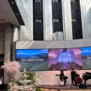 펠리체빈 | 삼성역 소노펠리체 컨벤션 / 아기동반 하객 후기