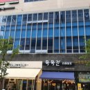 아름다운 개 이미지