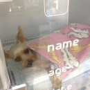 한솔동물병원 이미지