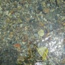 누룽지야영장 이미지