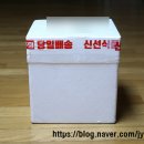 진담 | [전라도 김치 추천] 감칠맛 폭발! 진담김치 포기김치 & 섞박지 솔직 후기 (feat. 라면 꿀조합)