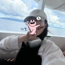 작은항구 | 보홀 탁빌리란 항구에서 시키호르 가는 방법 및 후기(오션젯, 아페콥)