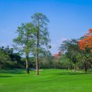 헬로우골프투어 이미지