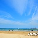 (주)영일만관광