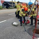 수색-021 이미지