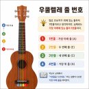우쿨렐레(강좌번호 : 2) 네이버블로그