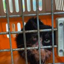 이매로123번길 이미지