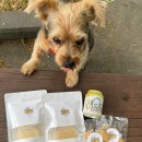 허니스티 펫 베이커리 이미지