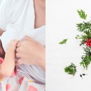 디라인(D-line) 이미지