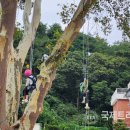 현북초등학교 이미지