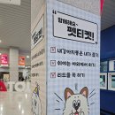 개인생활펫 | 반려견·반려묘 키운다면 꼭 한 번은 가봐야 할 펫페어 후기