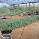 주산산업고등학교 이미지