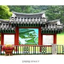 돈데기