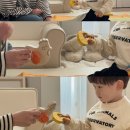 시후농장 | 홈문센, 방문수업 똘망쁘띠와 함께하는 전인발달교육!