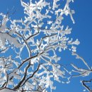 황골공원 이미지