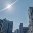 단지내행운공인중개사사무소 이미지