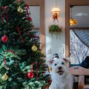 웜브리즈 이미지