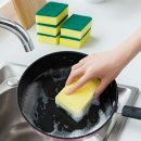 대성스폰지 이미지