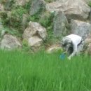 빛나리농원