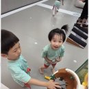 퍼스트 태권도장 이미지