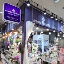 (주)이마트 둔산점 | 대전 꽃다발 이마트근처 가성비꽃집 대전둔산꽃집 비올레뜨 다녀온후기