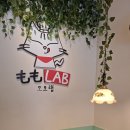 청주 성안길 점심 맛집 모모랩 낙엽스테이크동, 타래부타동 후기