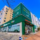 명품 벚꽃 길 | 진해군항제 벚꽃길 따라 찾은 가성비 맛집, 샤브마니아 진해점 방문 후기