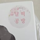 달떡 - 달서구 | 달떡