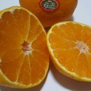 온새미영농조합법인 이미지