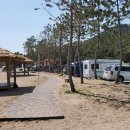 푸른바다와 캠핑 이미지