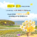 *****신안군 선도 수선화축제+임자도 튤립축제*****25년4월9일(수)07시(시청)-07시20분(운동장1문) 이미지