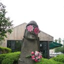 하루방화원 | 제주 카멜리아힐 입장료 미리 구매하고 구경ㄱㄱ