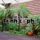 다낭 한시장 근처 숨은 보석, 감성 카페 Trình cà phê 아보카도 커피 솔직 후기