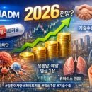 주식회사 현대개발