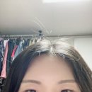 이즈헤어 - 고양시 덕양구 푸른마을로 56 | 대전 둔산동 헤어메이크업 전문점 비안이즈 2회차 내돈내산 후기