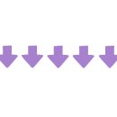 다육정원네덜란드 이미지