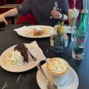 미술사산책 | 3일차(벨베데레 궁전, 카페 자허, Manner 과자, 그랜드 호텔 빈, 비트징거, 미술사 박물관, 피그뮐뮐러)