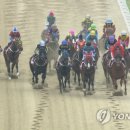 부산경남경마공원 화장실 이미지