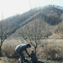 홀리데이 마노