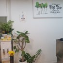 주정차단속-033 이미지