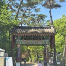 양평장터쇼핑주식회사 | 양평 용문산 산나물축제 지금 먹어야하는 보약 봄축제!꿀팁 정보 공개!