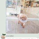 [마곡] 마곡나루 칼국수 ‘등촌샤브칼국수 마곡점’ 아쉬운 내돈내산 후기