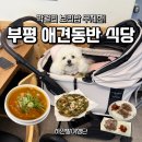 1337 | 인천 애견동반 맛집, 부평 굴포천 무강옥칼국수 내돈내산 솔직 후기