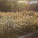 모닝캄빌리지 이미지