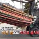 장정숙농장 티스토리