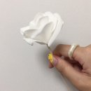 표쉼 네이버블로그