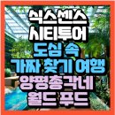 총각네 푸드